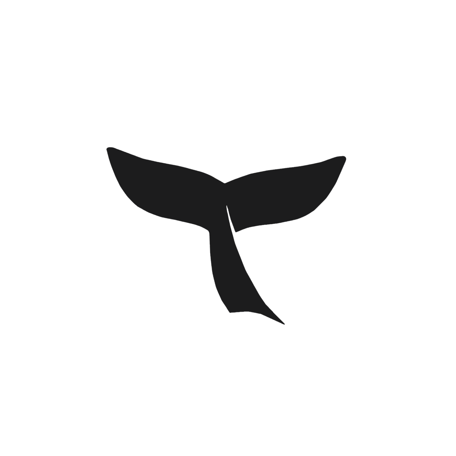 Queue de baleine fine