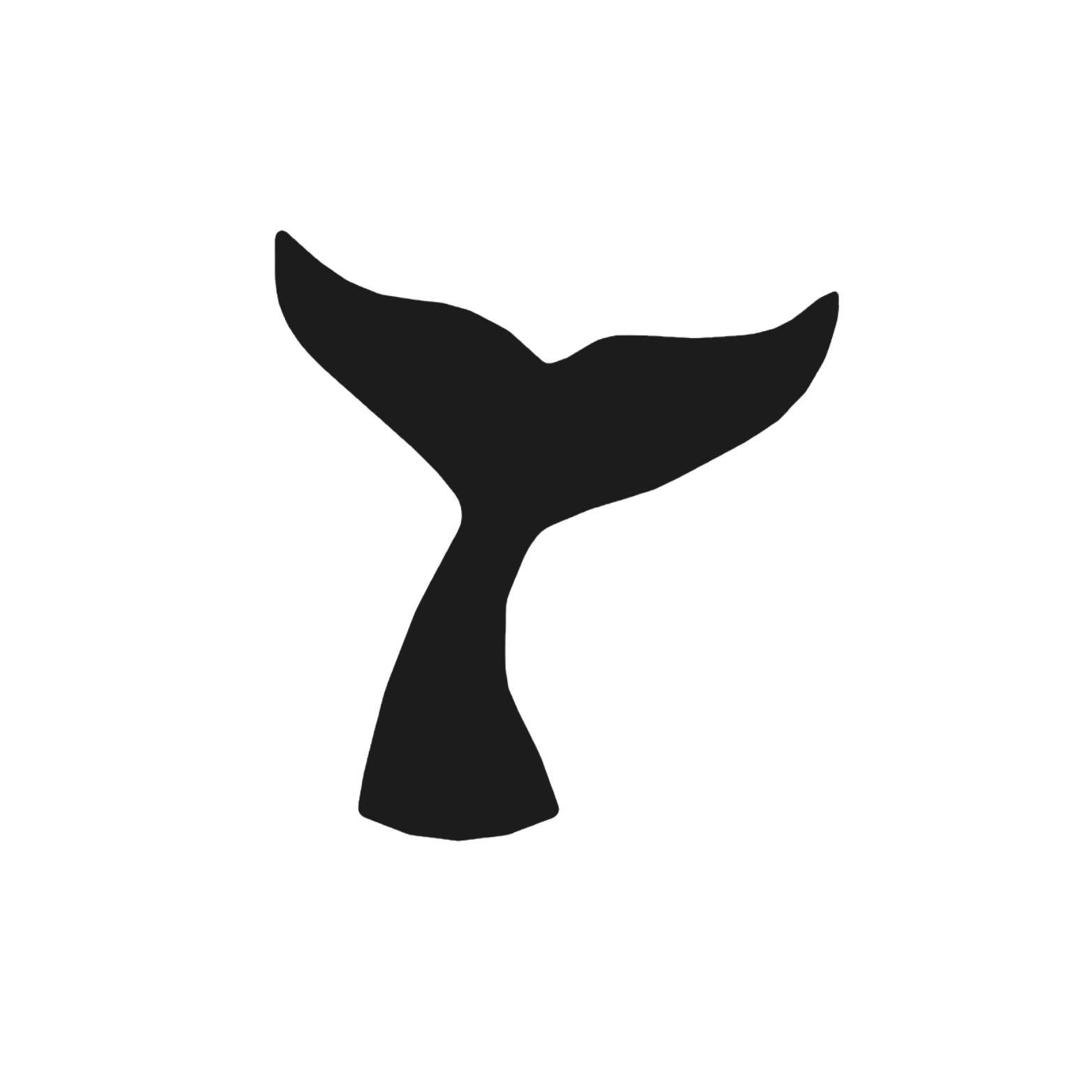 Queue De Baleine large