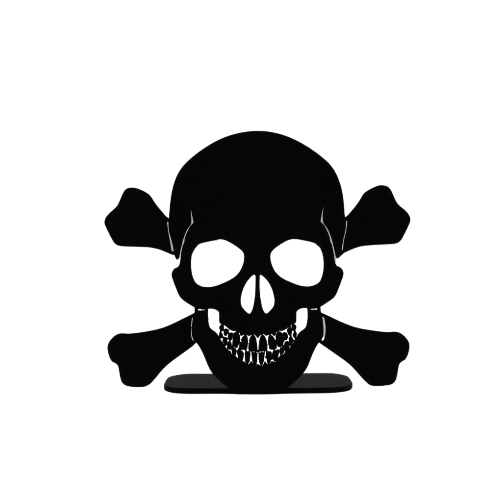 Tête de mort à poser