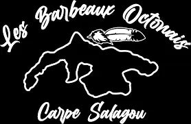 logo 6