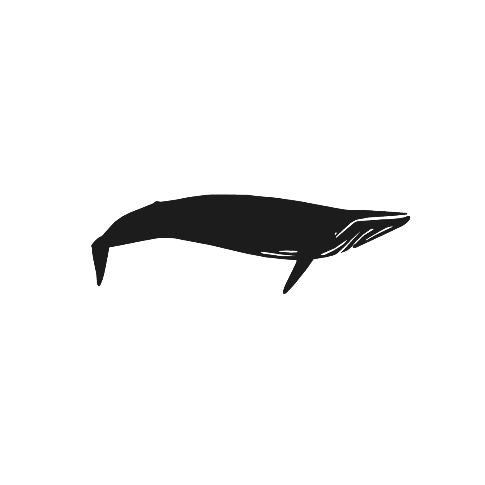 Décoration murale en métal - Baleine - La P'tite Fabrik